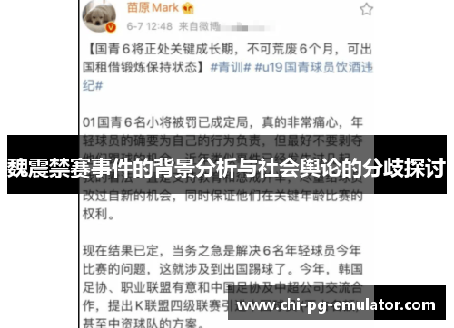 魏震禁赛事件的背景分析与社会舆论的分歧探讨 魏震禁赛事件的背景分析与社会舆论的分歧探讨