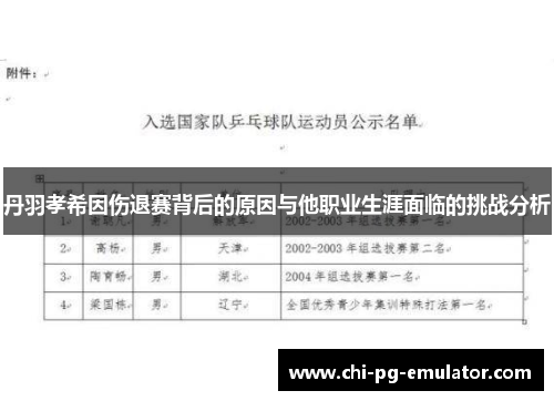丹羽孝希因伤退赛背后的原因与他职业生涯面临的挑战分析